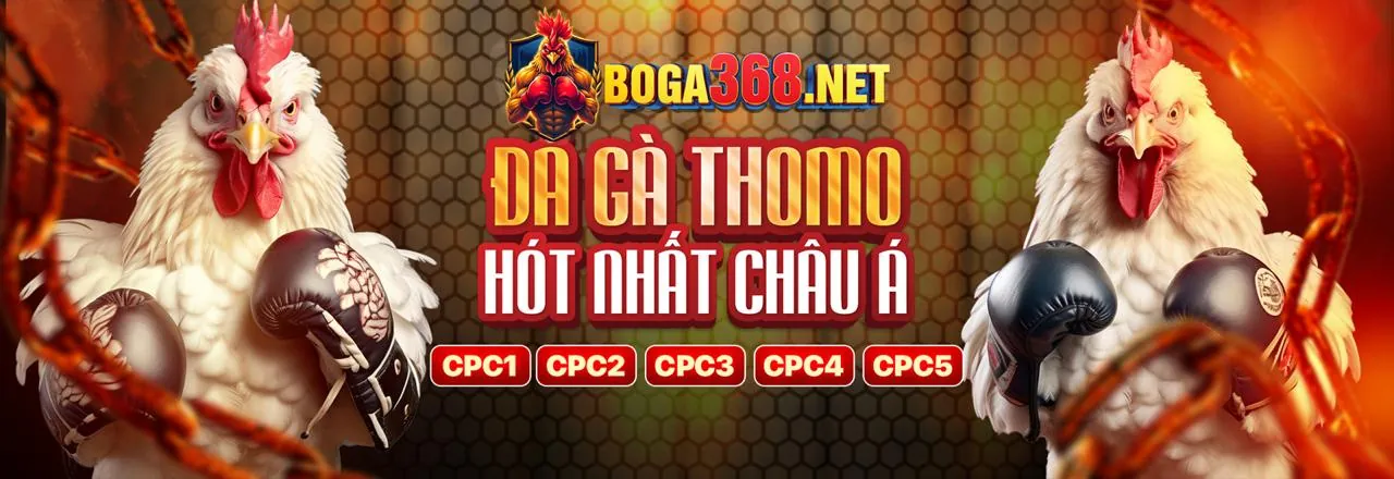 Đá gà trực tiếp tại Zomclub Win