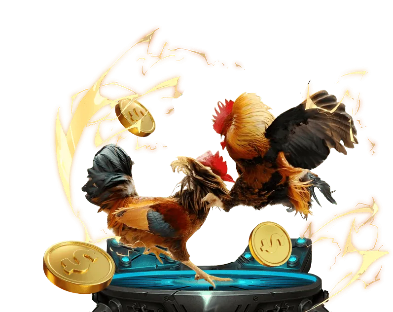 Người chơi cá cược trực tiếp trên Zomclub Win